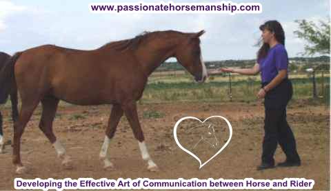Passionate Horsemanship