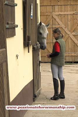 Clicker Training A Horse