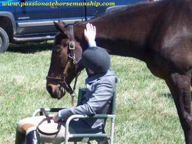 Patting A Horse