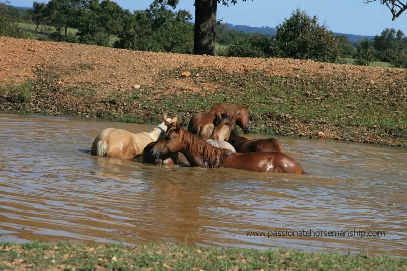 Cooling Down