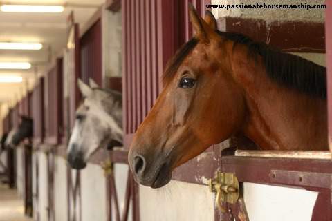 Horseback Riding Facility