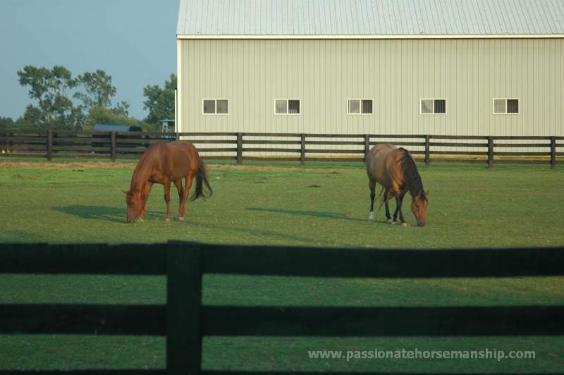 Horse Facility