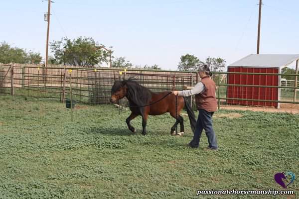 Kim Wende owner of Passionate Horsemanship