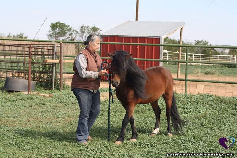 Kim Wende owner of Passionate Horsemanship